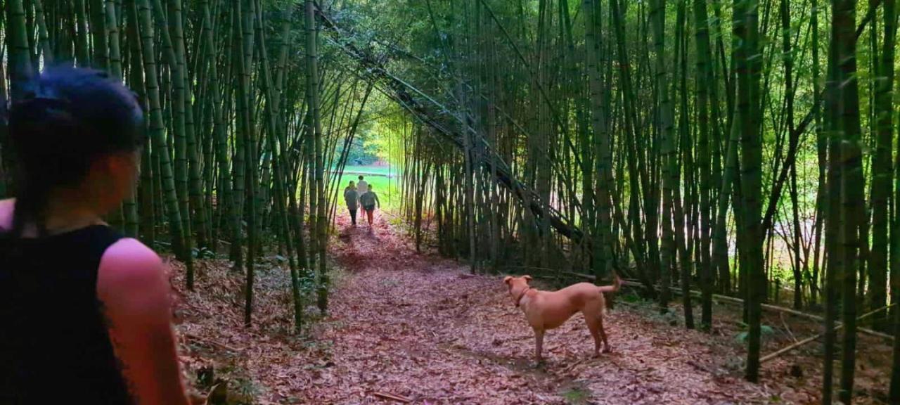 Pousada Green Valley Сан-Роки Экстерьер фото